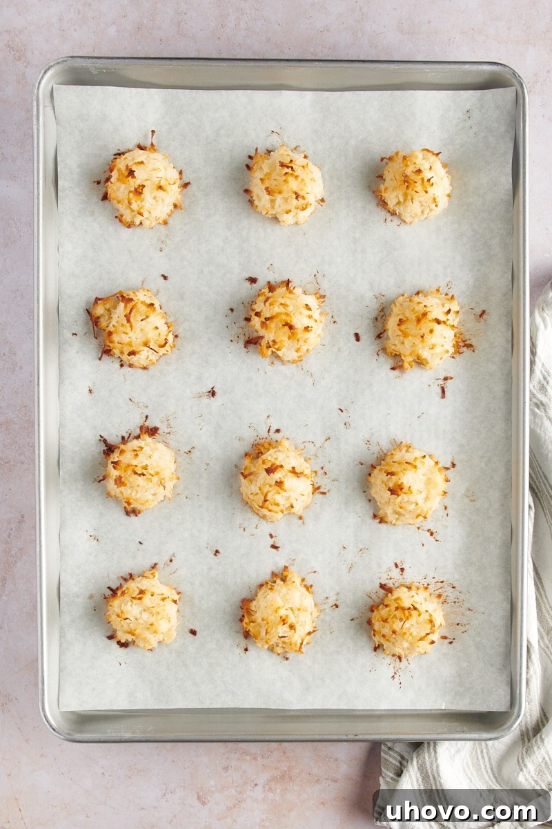 An overhead shot of freshly baked Coconut Macaroons cooling on a parchment-lined baking sheet, their tops beautifully golden and toasted.