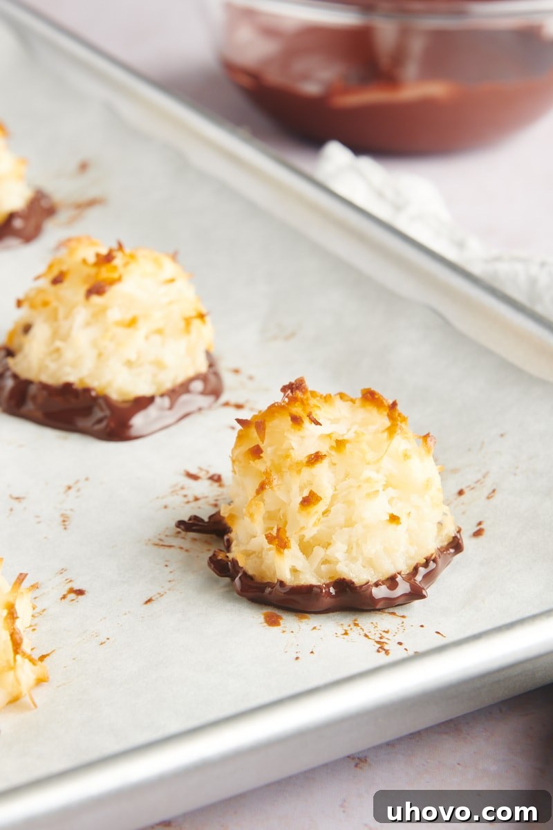 A close-up shot of several Coconut Macaroons, freshly dipped in glossy melted chocolate and placed on parchment paper, showcasing their appealing chocolate bottoms.