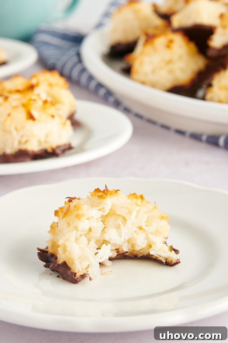 A single Coconut Macaroon, perfectly toasted and with a tantalizing bite missing, rests on a pristine white plate, showcasing its irresistible chewy interior.