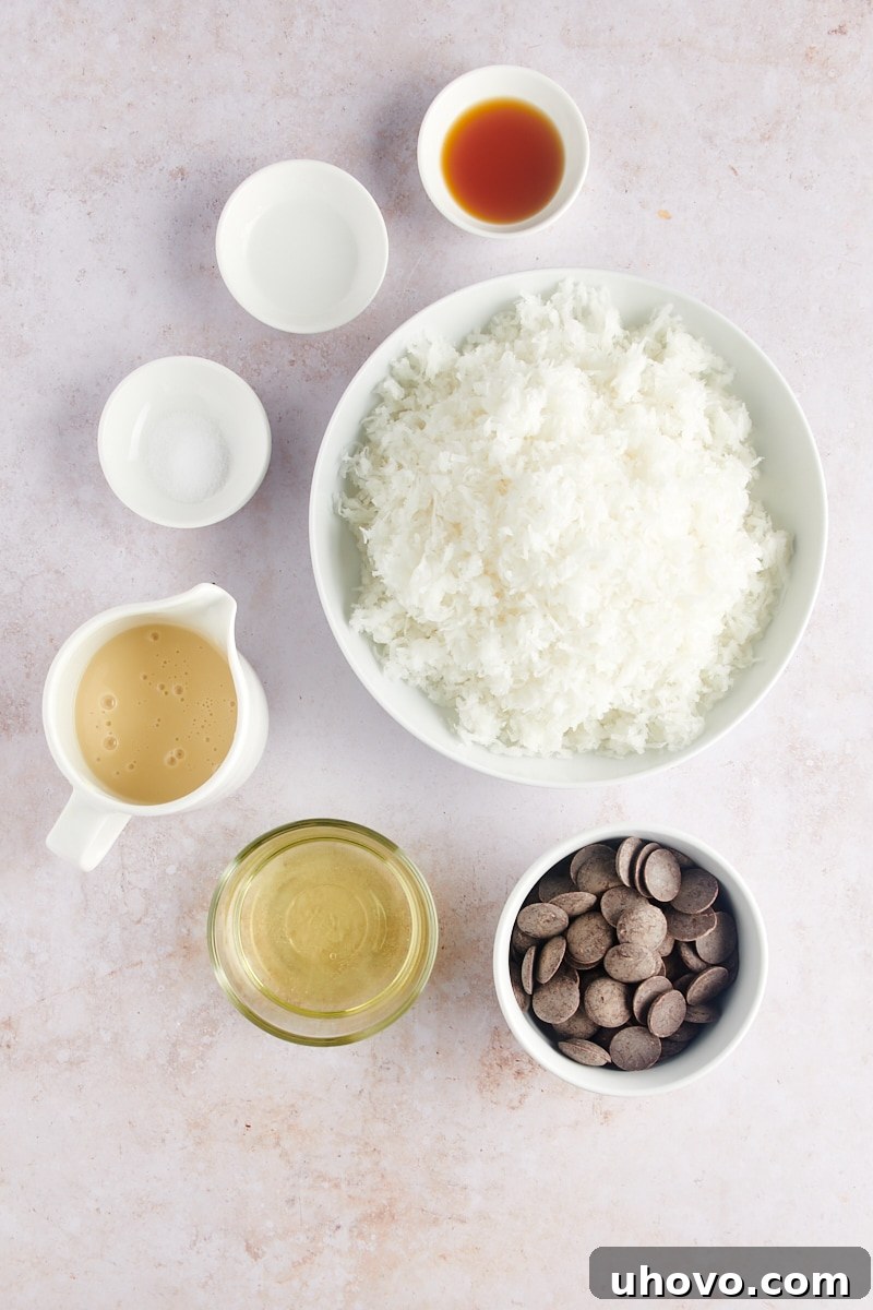 An overhead shot showcasing the simple yet essential ingredients for Coconut Macaroons, including sweetened condensed milk, egg whites, extracts, salt, and a large bag of shredded coconut.