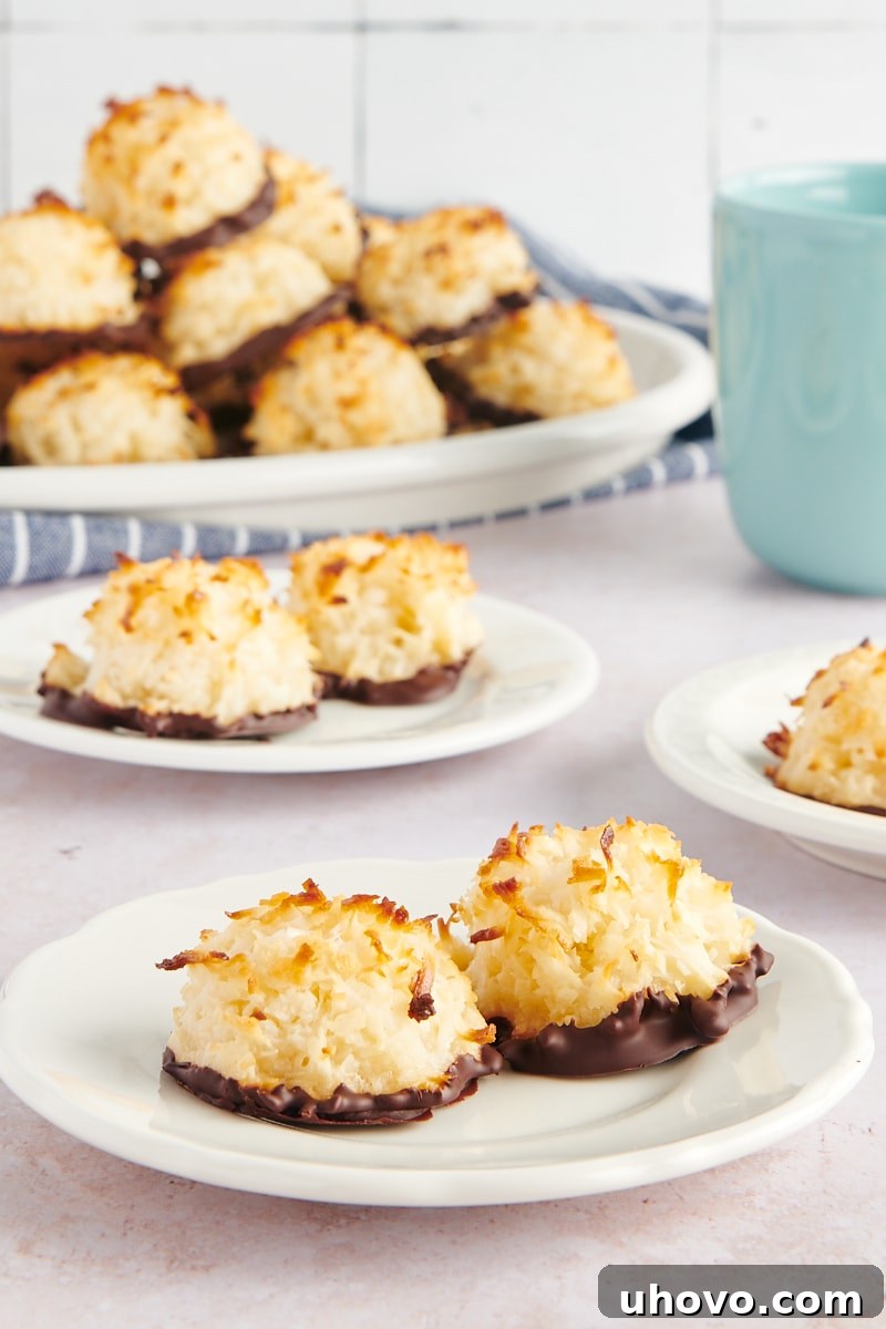 Two perfectly domed Coconut Macaroons, one dipped in chocolate, rest on a small white plate with more delicious macaroons blurring in the background.