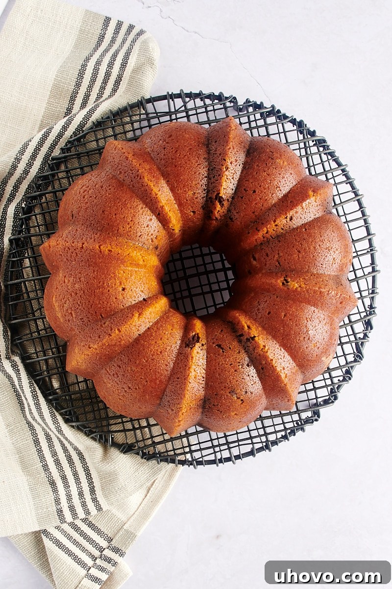 overhead view of a Marble Bundt Cake on a wire cooling rack after being removed from the pan