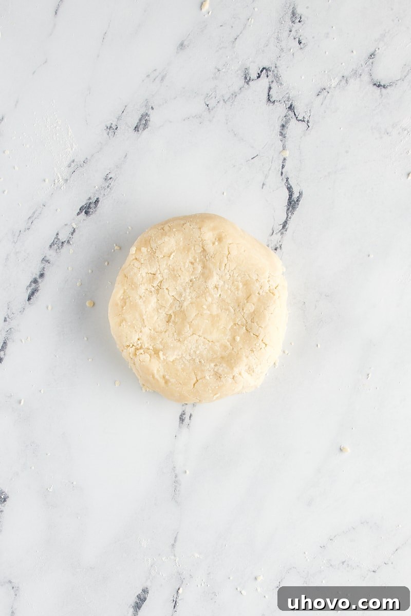 Overhead view of shortbread cookie dough formed into a disc.