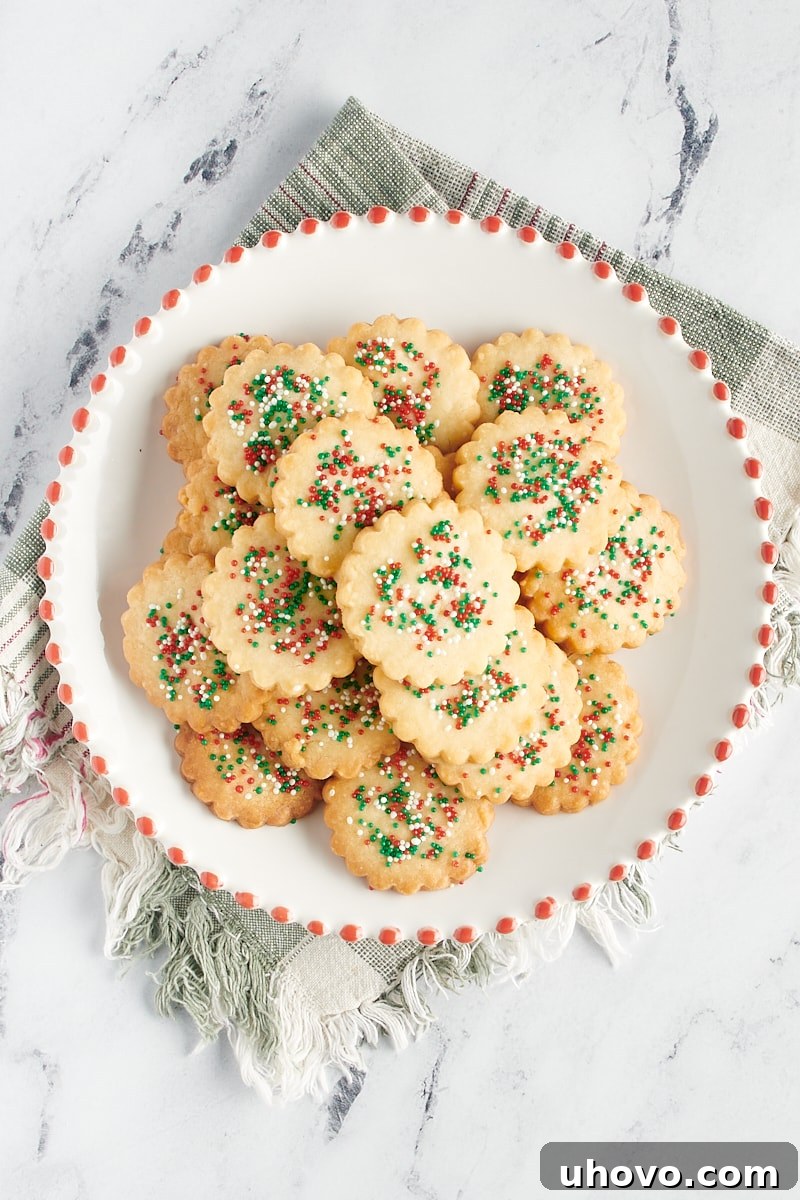 Overhead view of cutout shortbread cookies on a red-rimmed white plate.