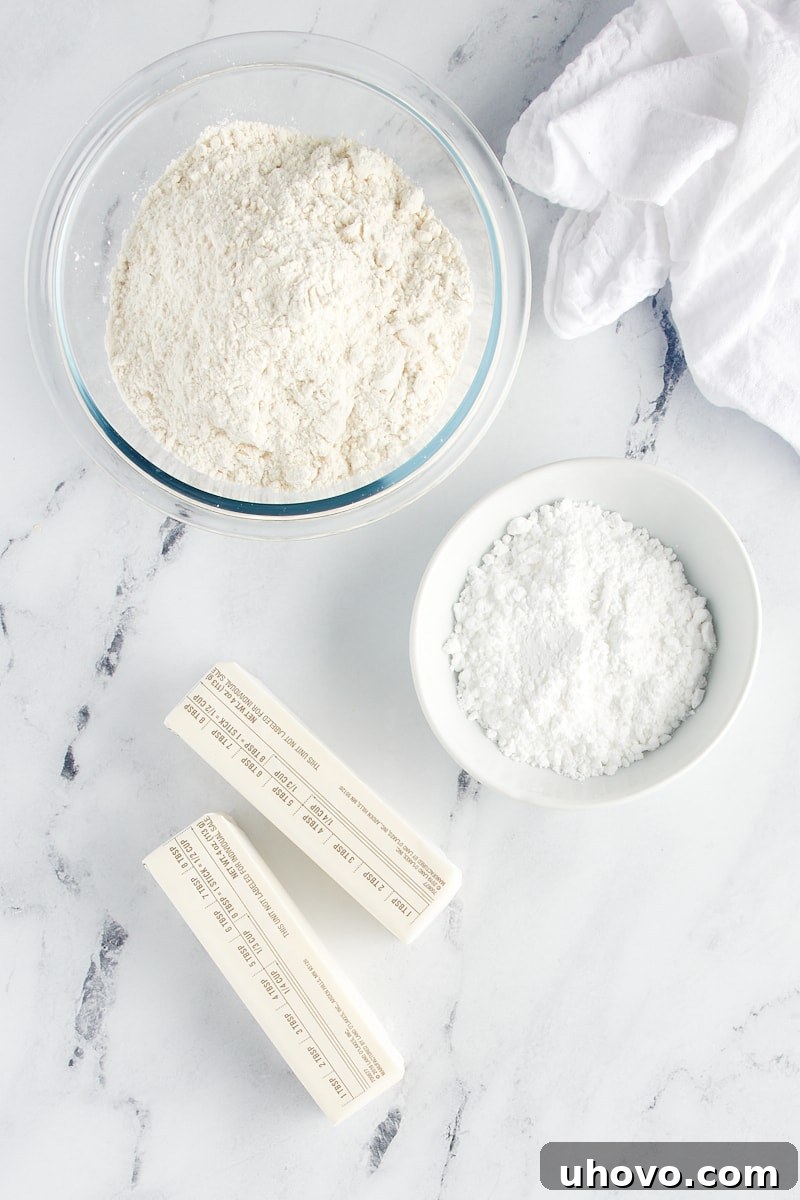 Overhead view of ingredients for shortbread cookies.