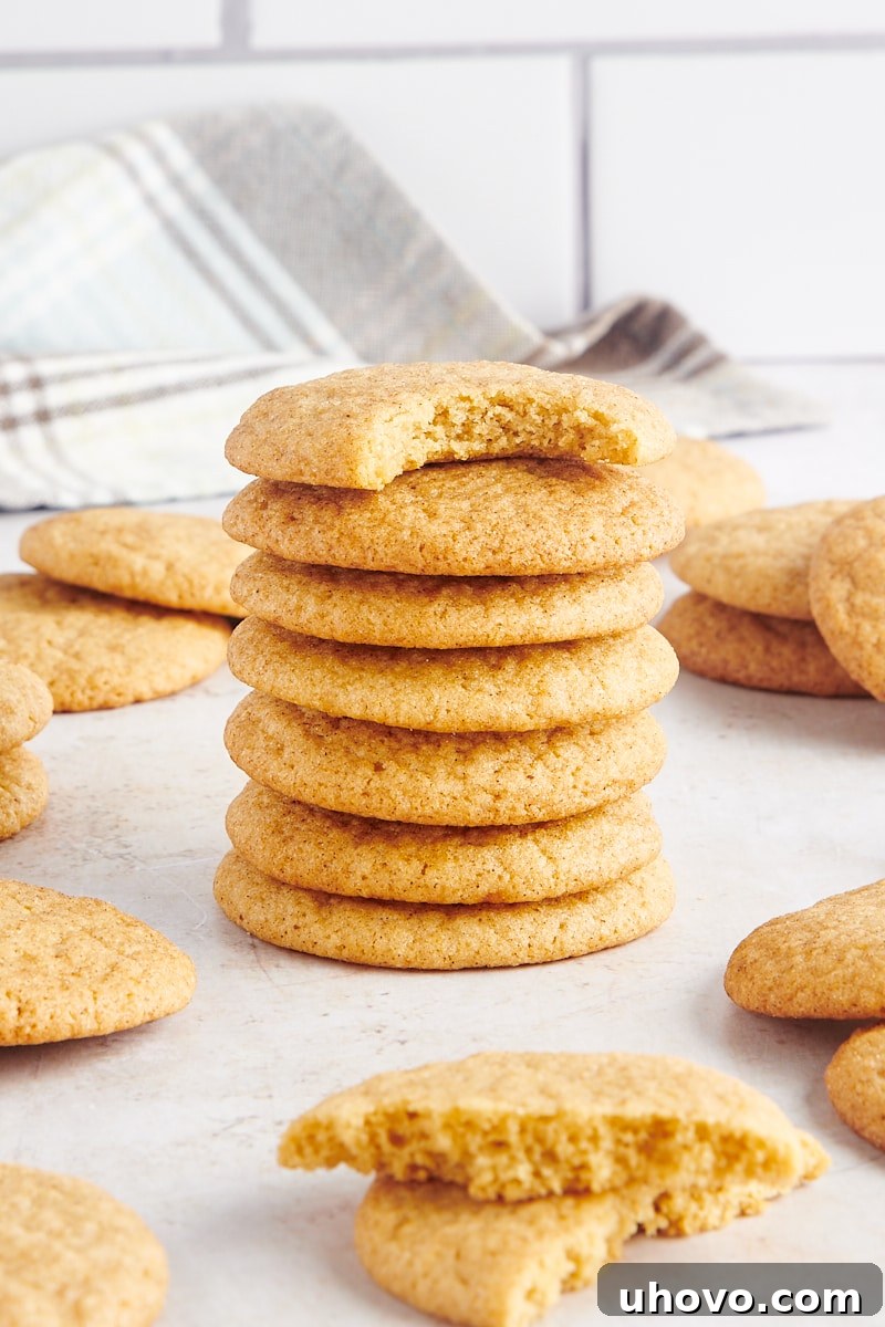 Six soft gingerdoodle cookies, perfectly round and coated in spiced sugar, stacked with one cookie on top with a bite missing, showcasing its chewy interior.