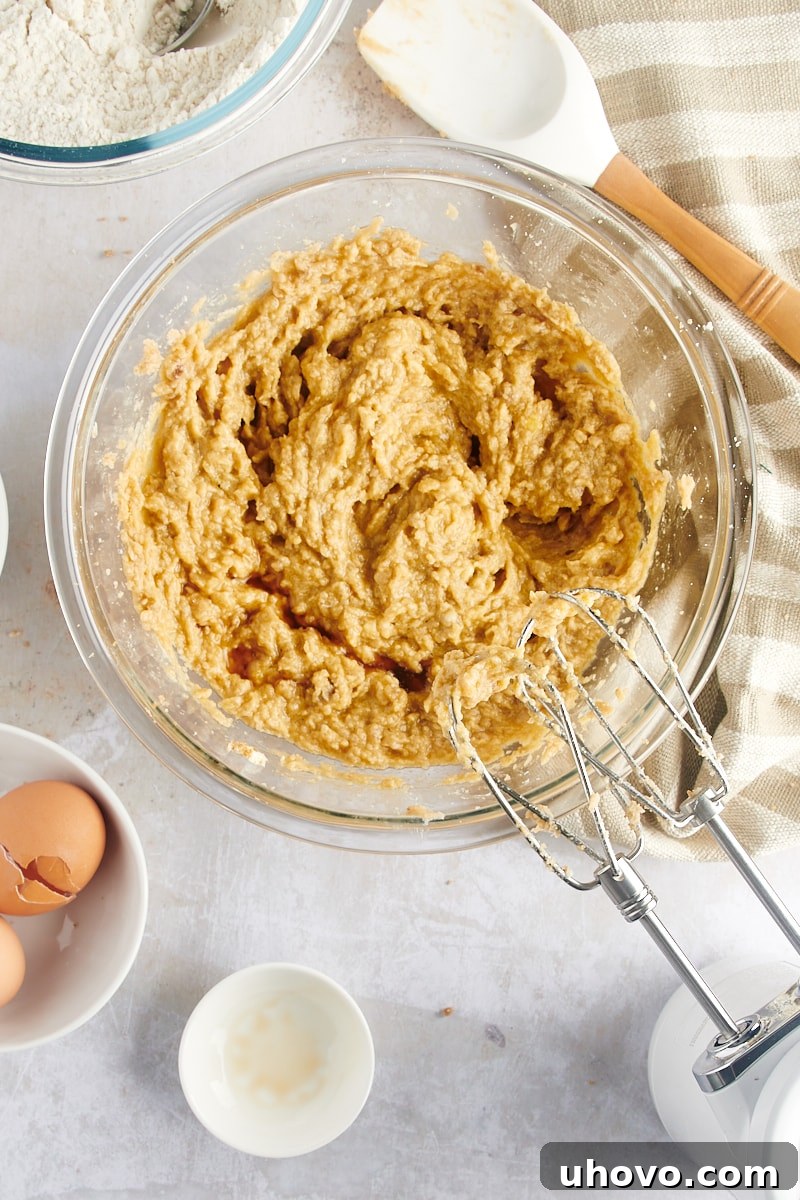 Overhead view of partially mixed Gingerdoodle Cookie dough in a glass bowl, showing the wet ingredients combined into a creamy base before flour is added.