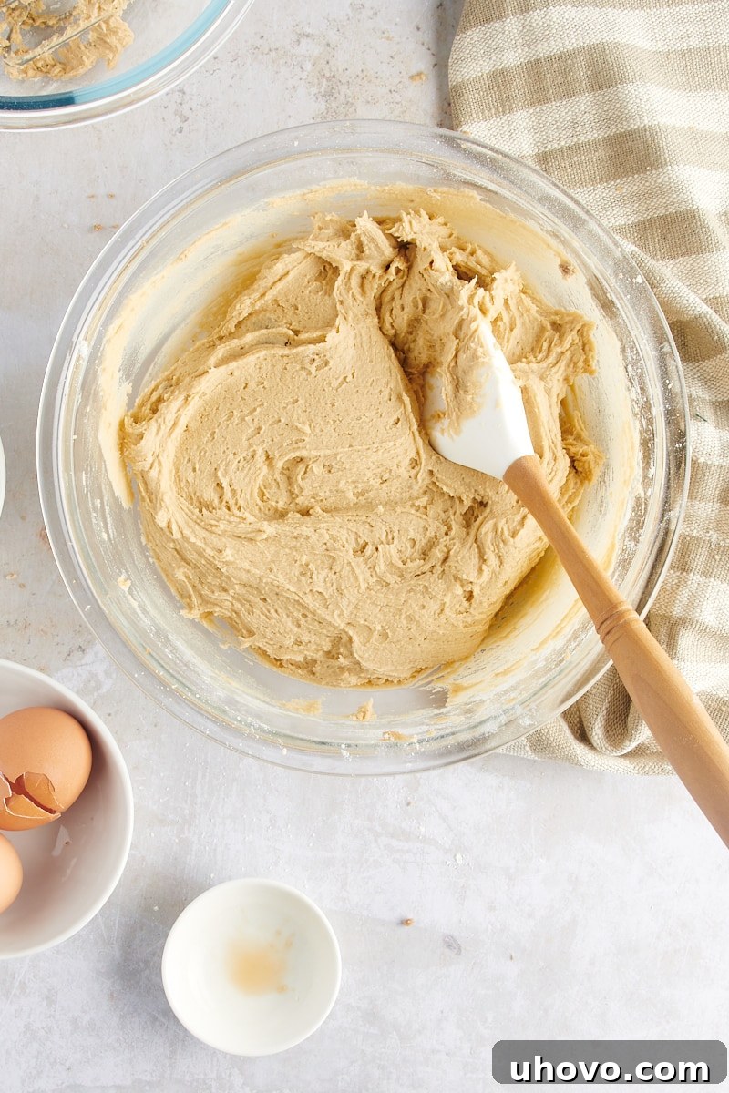 Overhead view of fully mixed Gingerdoodle Cookie dough in a glass bowl, showcasing its soft and pliable texture before chilling.