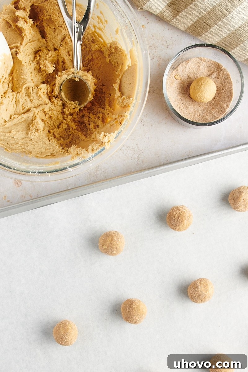 Overhead view of Gingerdoodle Cookie dough being rolled into small balls and then coated in the spiced sugar mixture.