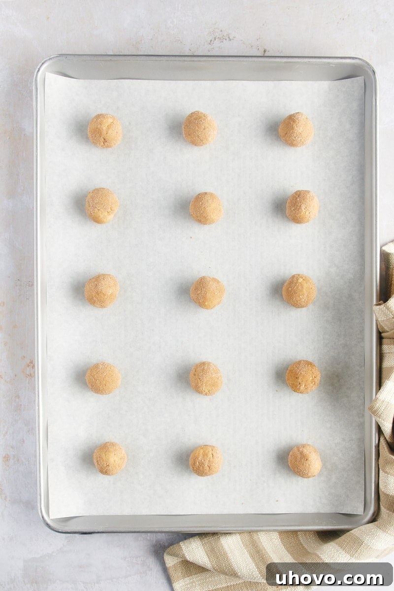 Overhead view of portioned Gingerdoodle Cookies, rolled in spiced sugar, neatly arranged on a parchment-lined baking sheet, ready for the oven.