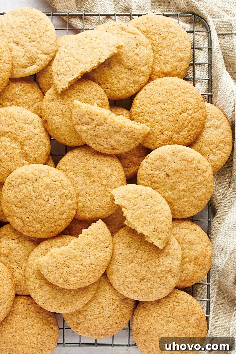 Overhead view of freshly baked Gingerdoodle Cookies piled high on a wire cooling rack, steaming gently.