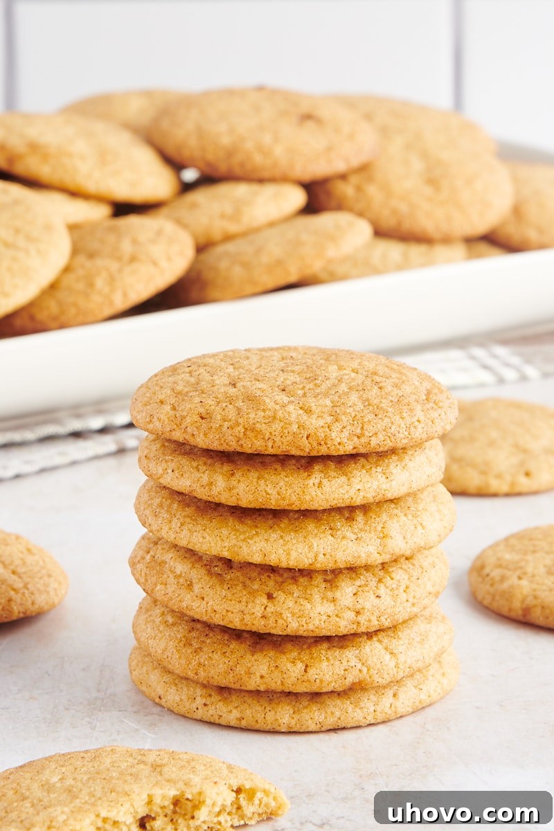 A stack of six perfectly baked Gingerdoodle Cookies, with more cookies scattered around them on a white surface, highlighting their soft texture and spiced coating.