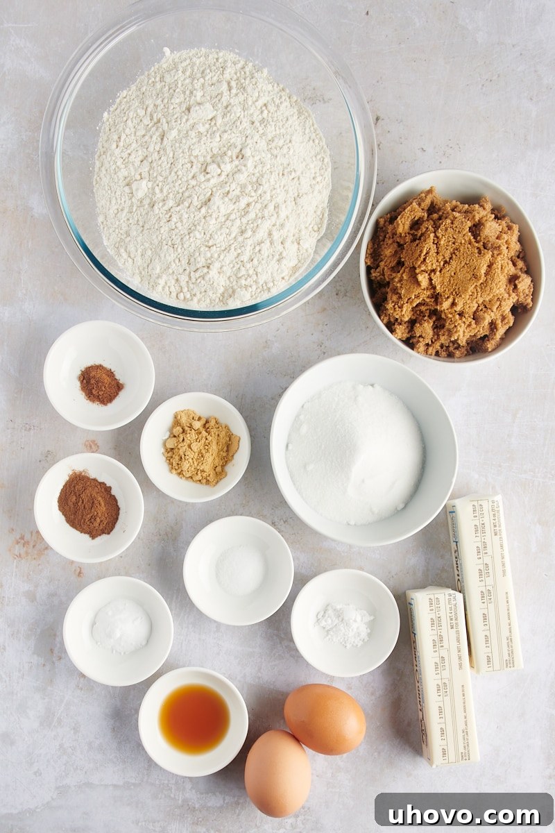 Overhead view of various ingredients for Gingerdoodle Cookies, including flour, sugars, spices, butter, and eggs, neatly arranged on a white countertop.