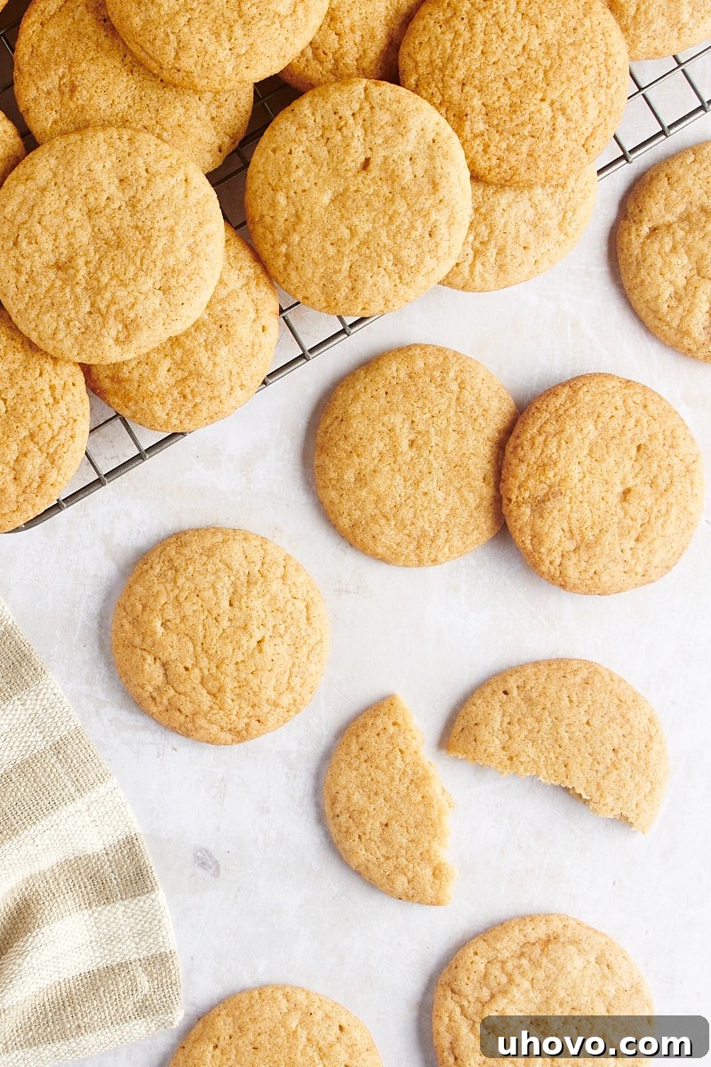 Overhead view of baked Gingerdoodle Cookies scattered casually on a white countertop, with some arranged neatly on a wire cooling rack.
