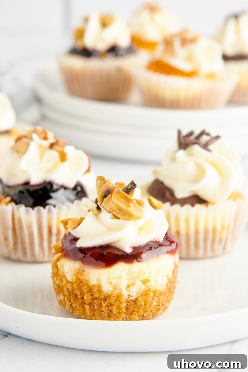 A trio of mini cheesecakes, each adorned with a different delicious topping, presented on a pristine white plate.