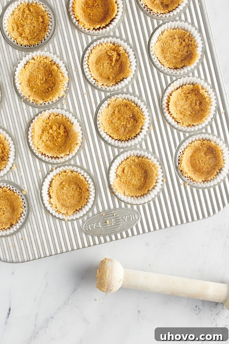 The graham cracker crust meticulously pressed against the bottom and partially up the sides of a lined mini muffin cup, creating a perfect cup for the filling.
