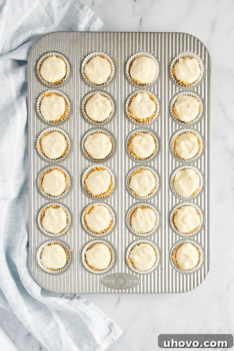 The smooth cheesecake filling neatly spooned into the graham cracker crusts within a mini muffin tin, pre-baking.