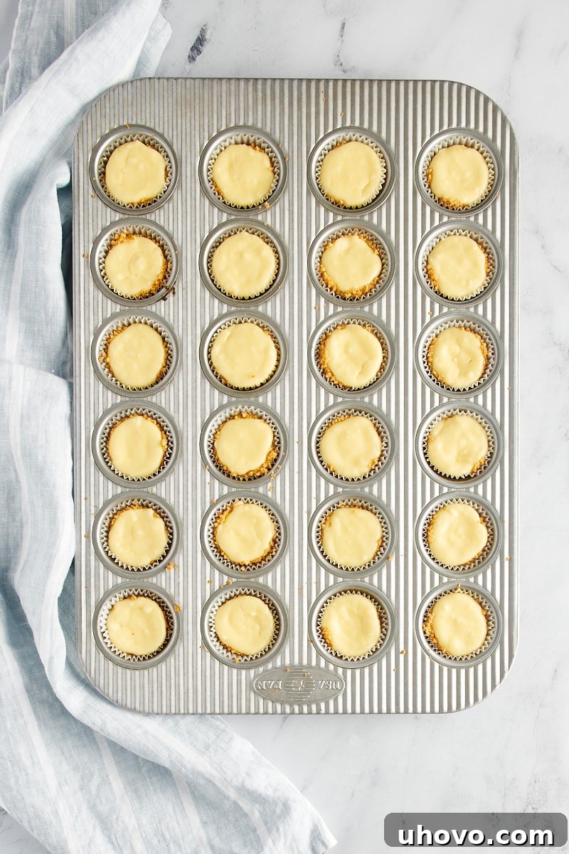 A mini muffin tin filled with perfectly baked cheesecake bites, golden around the edges and set in the center.