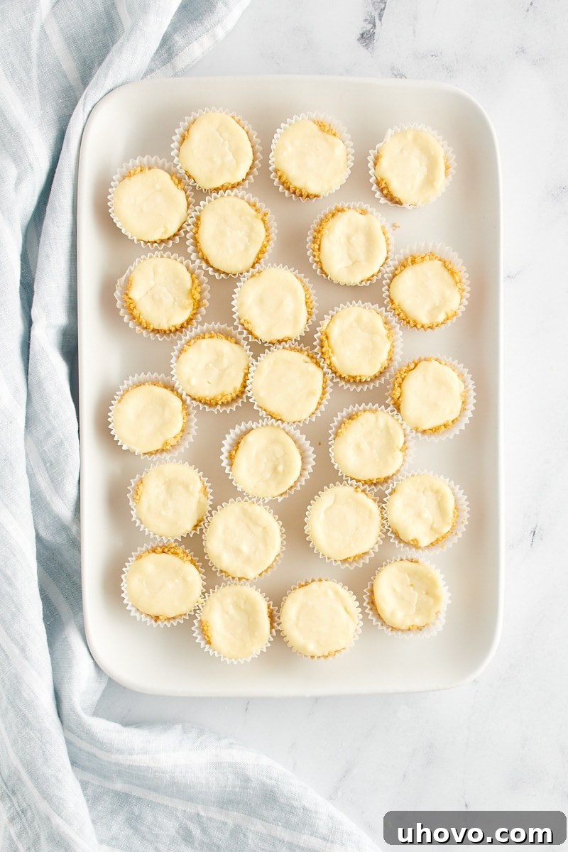 An overhead view of plain, baked mini cheesecakes arranged on a cooling rack, chilling before toppings are added.