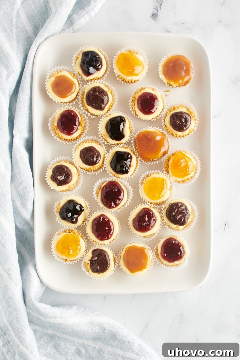 Mini cheesecakes topped with various fruit preserves, like raspberry and blueberry, displayed on a tray.