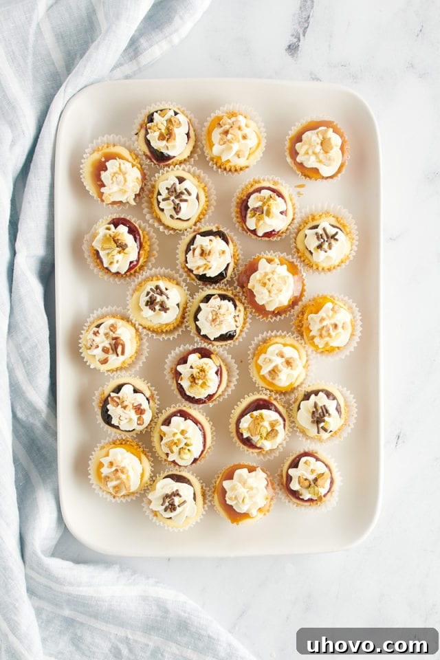 An overhead view of an assortment of beautifully topped cheesecake bites on a tray, ready to be served.