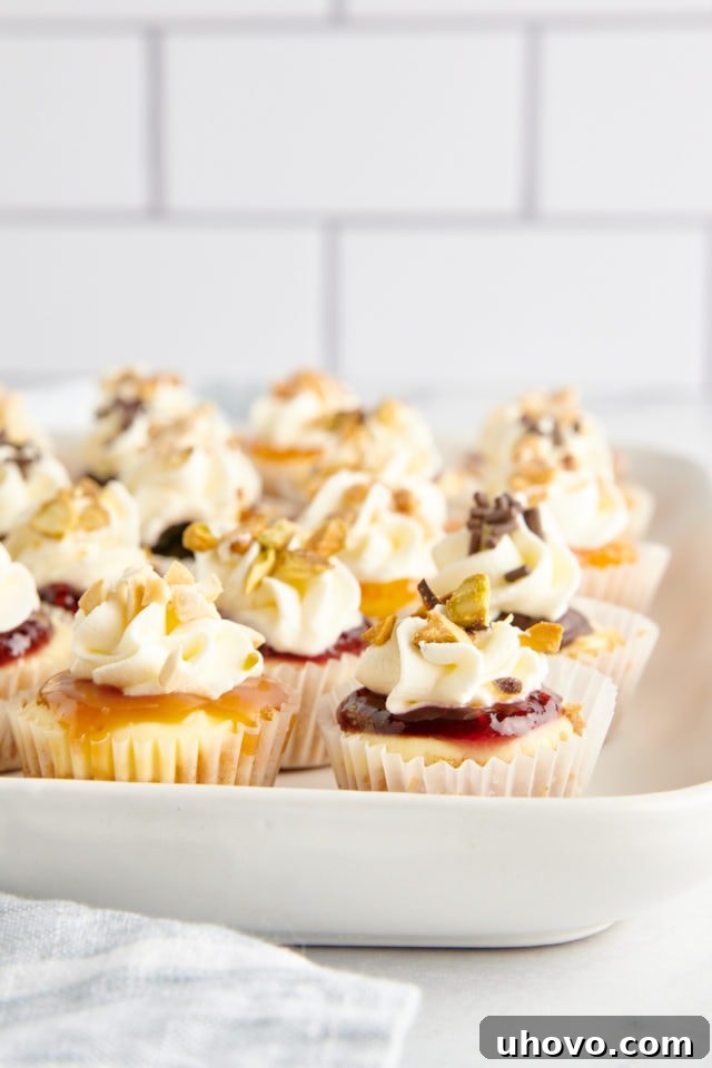 Three perfectly presented mini cheesecakes, each with a unique topping, on a serving platter.