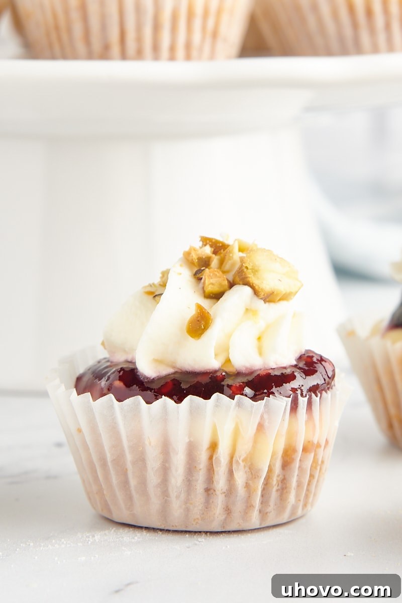 A delectable mini cheesecake topped with a dollop of raspberry jam, a swirl of whipped cream, and a sprinkle of chopped nuts, inviting a delightful bite.
