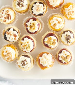 Overhead view of assorted mini cheesecakes on tray