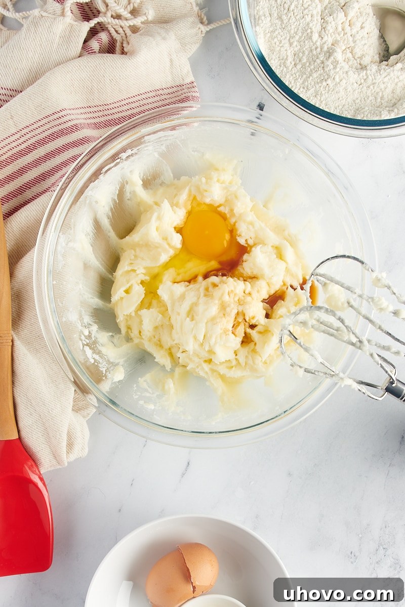 Overhead view of egg and vanilla added to sugar cookie dough.