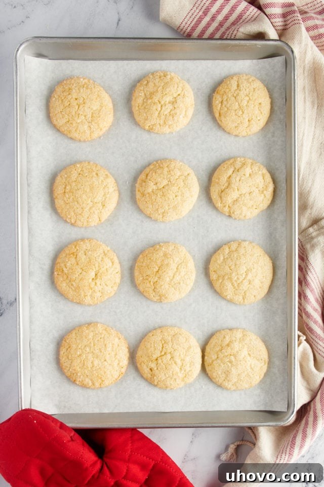 Overhead view of freshly baked sugar cookies on a parchment-lined baking sheet.