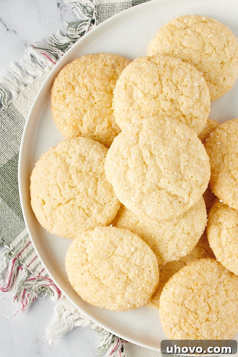 Overhead view of sugar cookies on a white plate.