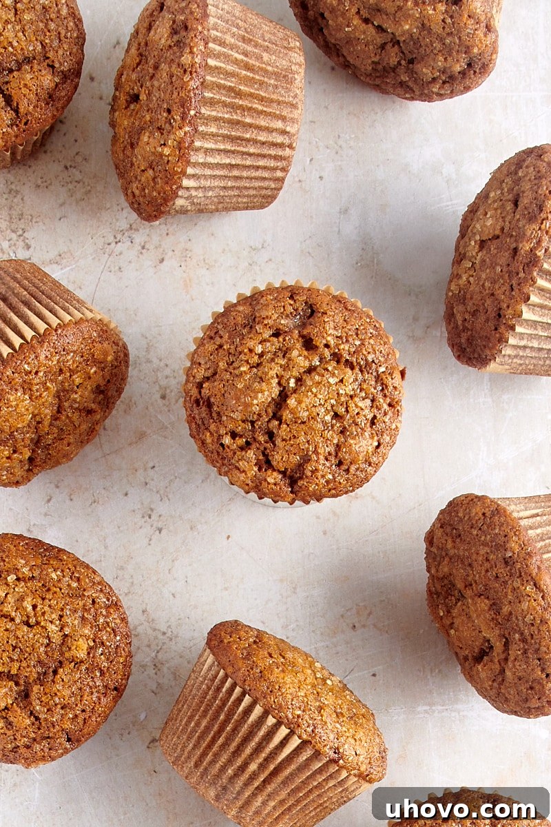 An overhead view of numerous freshly baked gingerbread muffins artfully scattered across a clean countertop, highlighting their golden tops.