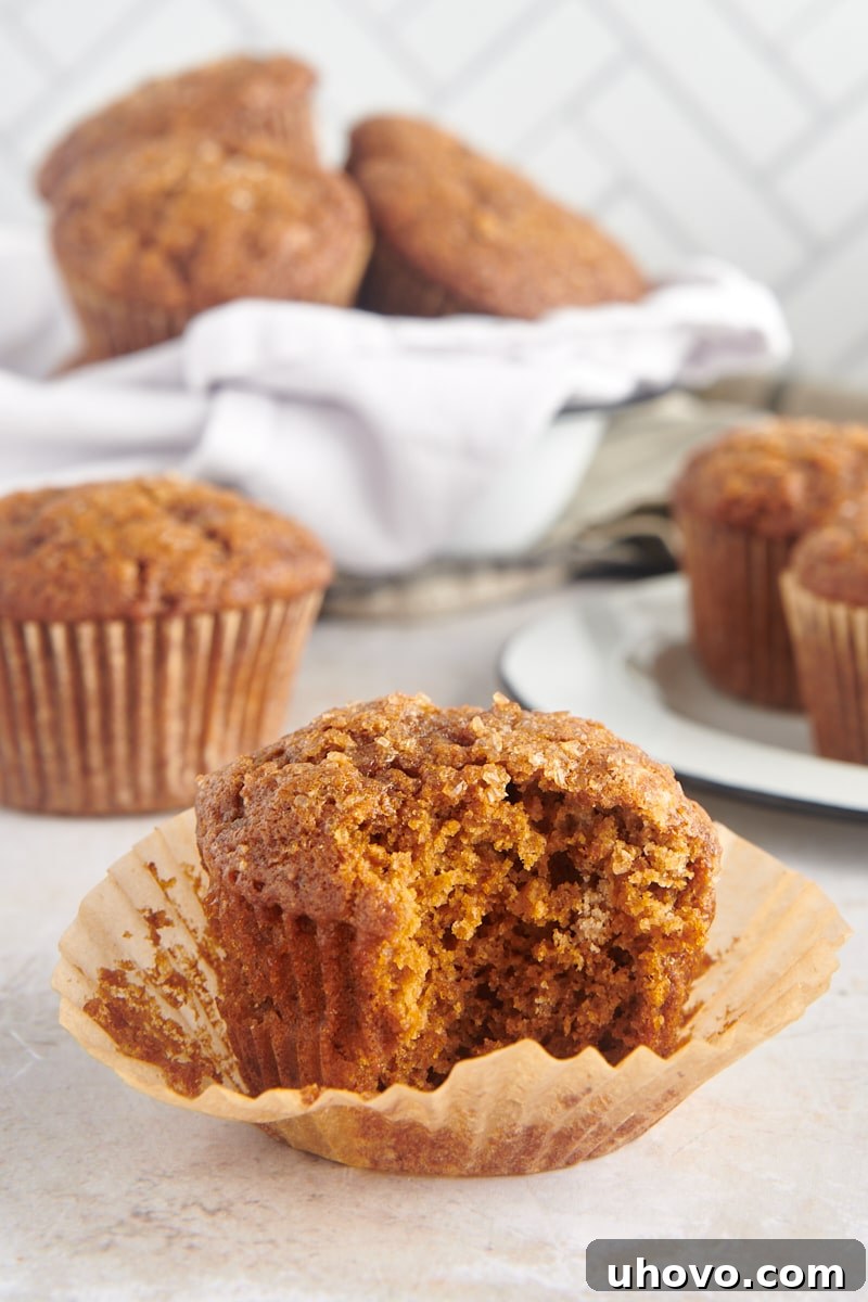 A perfectly baked gingerbread muffin with a bite taken, revealing its moist, tender interior and rich texture, with more muffins blurred in the background.