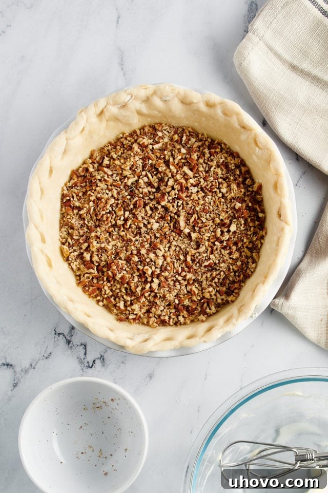 A generous layer of chopped pecans sprinkled over the cheesecake filling in the pie crust.