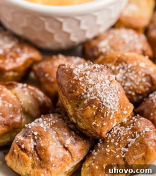 Pretzel Bites on a white plate with a bowl of beer cheese dip