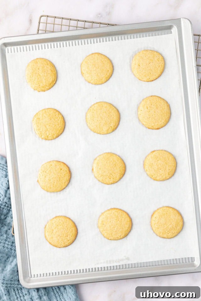 overhead view of freshly baked, golden-edged cornmeal cookies cooling on a baking sheet