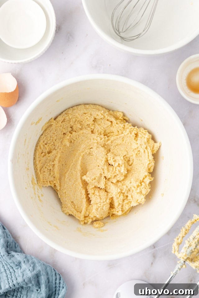 overhead view of the fully mixed cornmeal cookie dough in a mixing bowl, ready for portioning