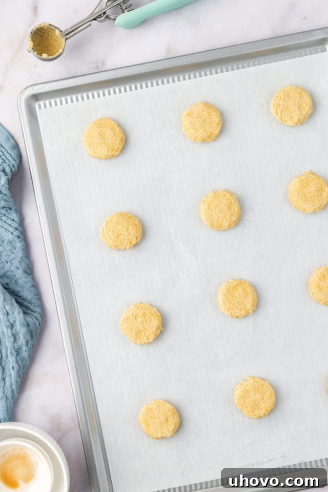 overhead view of cornmeal cookie dough portions on a parchment-lined baking sheet, slightly flattened and ready for the oven