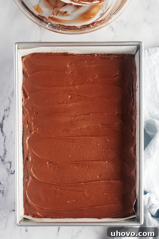 overhead view of chocolate cake batter spread in a 9x13 baking pan