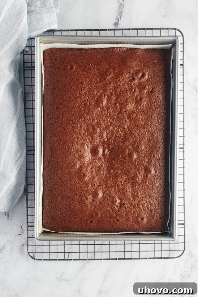 overhead view of freshly baked chocolate sheet cake in a 9x13 pan on a wire rack