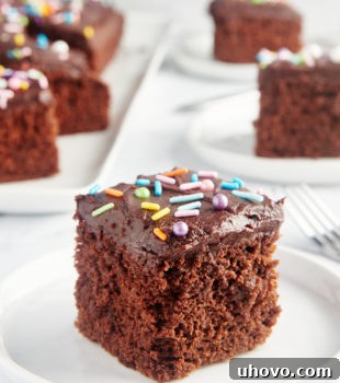 slice of Chocolate Sheet Cake on a white plate with more slices in the background