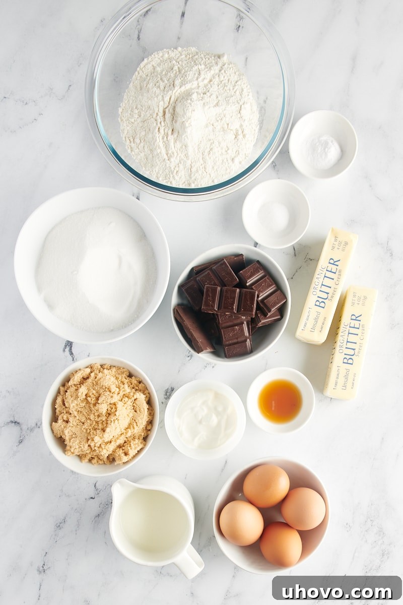 overhead view of ingredients for Chocolate Sheet Cake