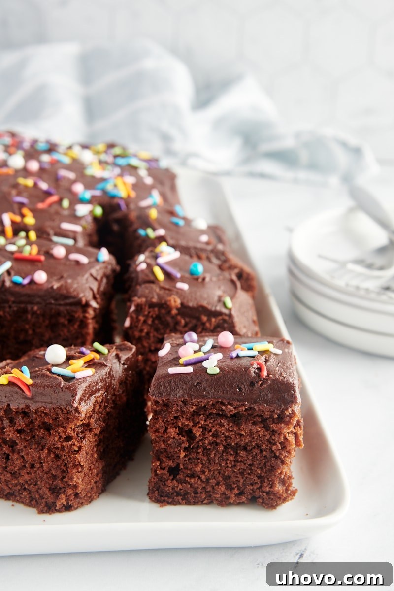 slices of Chocolate Sheet Cake on a large white tray