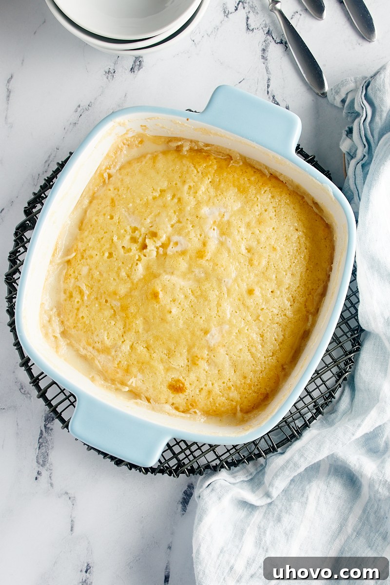 A pristine overhead view of a freshly baked Vanilla Pudding Cake, resting gracefully on a wire cooling rack, emitting warmth and a delightful aroma.