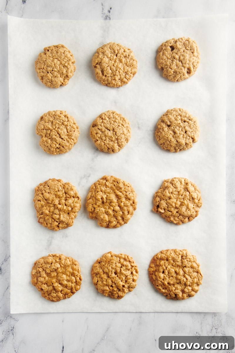 overhead view of two kinds of oatmeal cookies on parchment paper