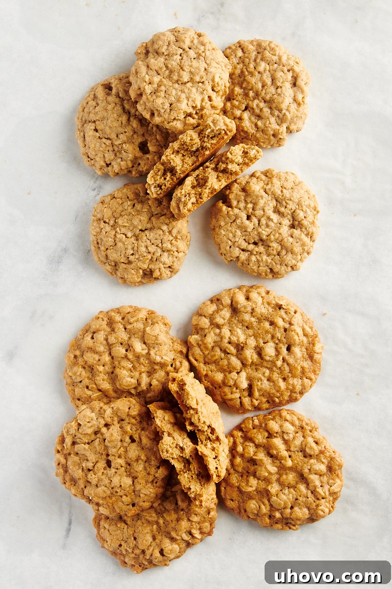 overhead view of oatmeal cookies made with quick oats and some made with rolled oats