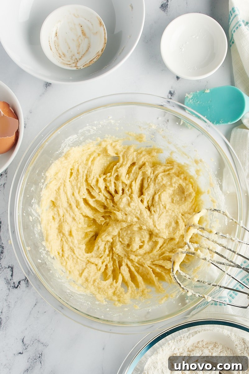 Overhead view of wet cookie ingredients in a mixing bowl.