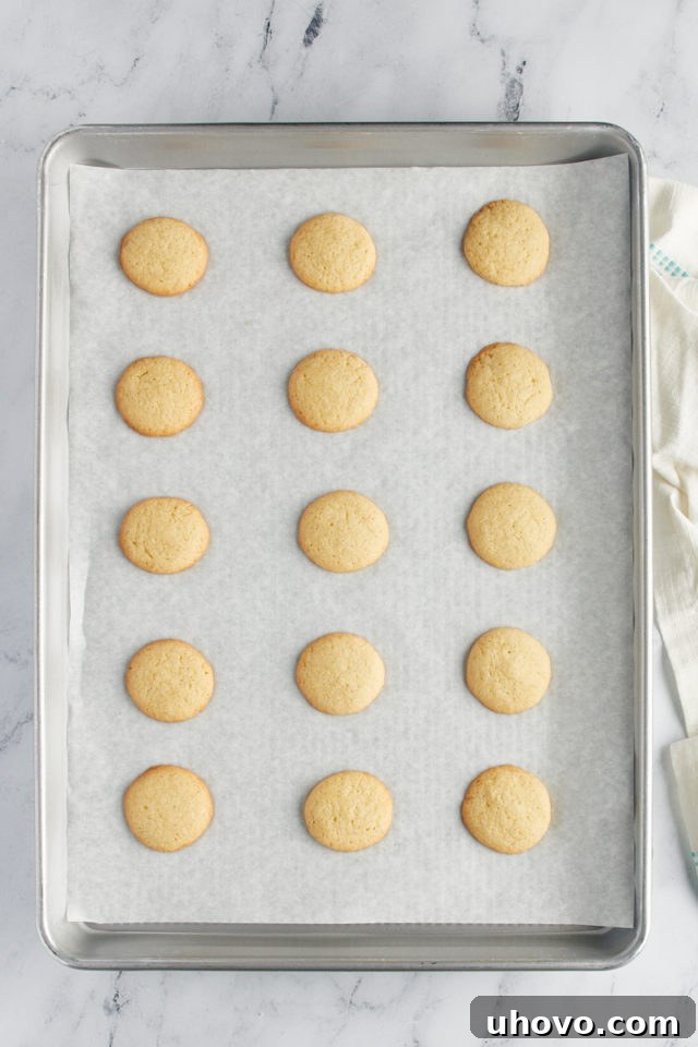 Overhead view of vanilla wafer cookies on a parchment-lined baking sheet.