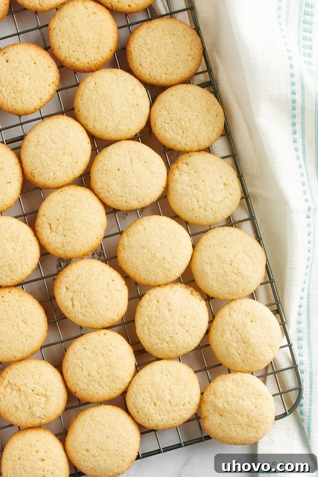 Overhead view of vanilla wafers on a cooling rack.