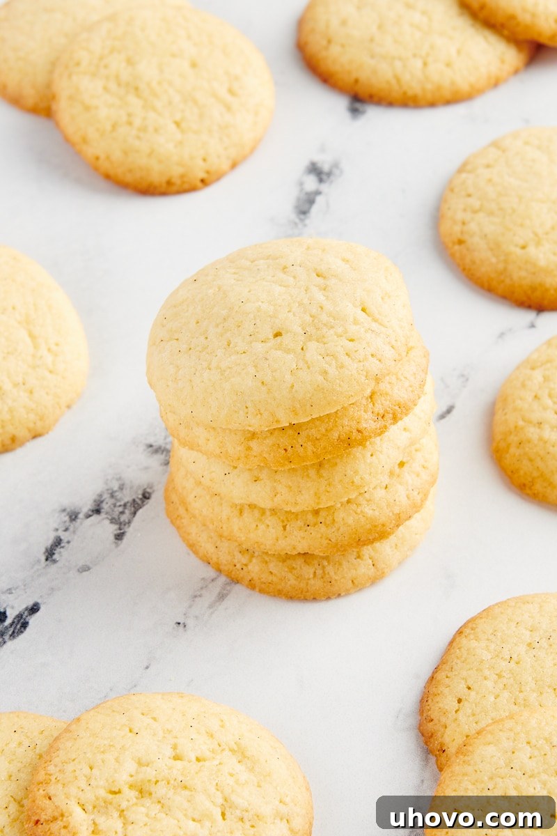 Stack of homemade vanilla wafers on a marble countertop.